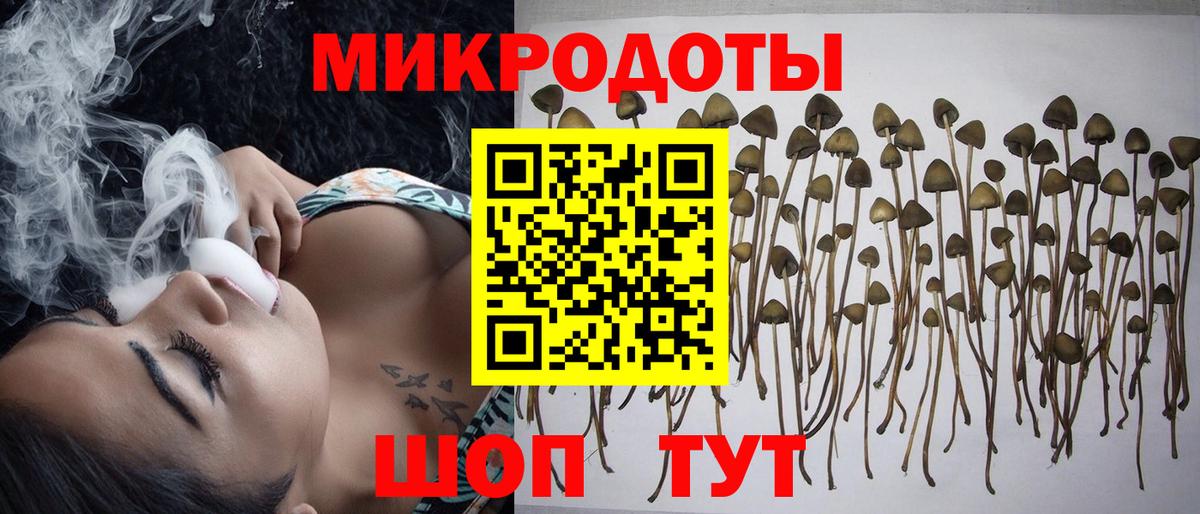 Псилоцибиновые грибы MAGIC MUSHROOMS Лесосибирск